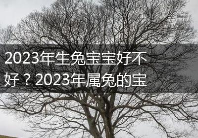 2023年生兔宝宝好不好？2023年属兔的宝宝几月出生最好？