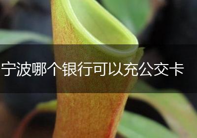 宁波哪个银行可以充公交卡