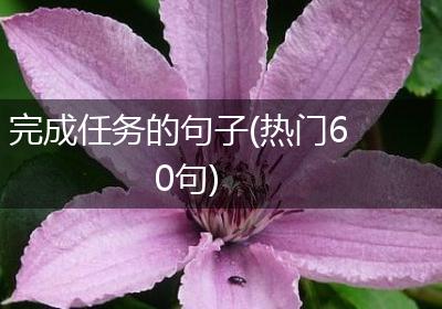 完成任务的句子(热门60句)
