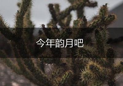 今年韵月吧