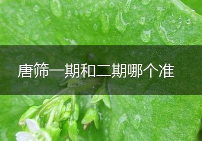 唐筛一期和二期哪个准