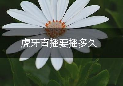 虎牙直播要播多久