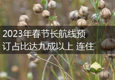 2023年春节长航线预订占比达九成以上 连住预订增二成