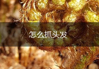 怎么抓头发