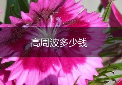 高周波多少钱