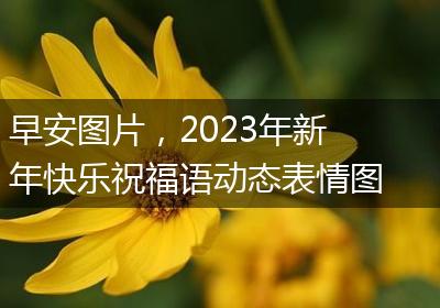 早安图片，2023年新年快乐祝福语动态表情图片 2023年元旦快乐问候图片