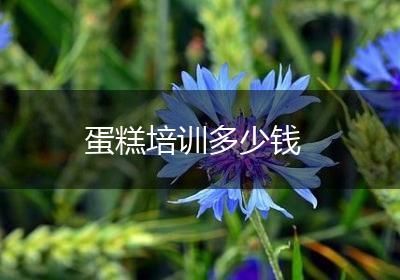 蛋糕培训多少钱