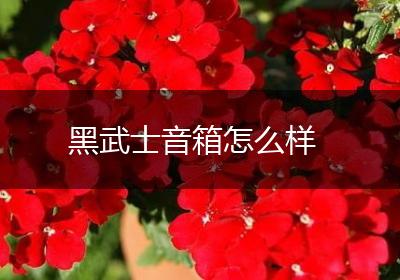 黑武士音箱怎么样