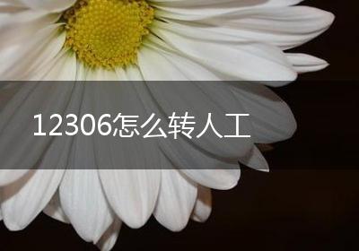 12306怎么转人工