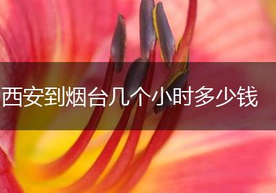 西安到烟台几个小时多少钱