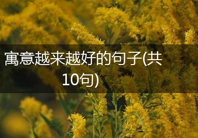 寓意越来越好的句子(共10句)