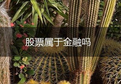 股票属于金融吗