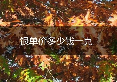 银单价多少钱一克