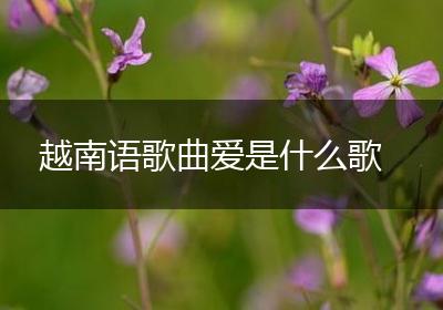 越南语歌曲爱是什么歌