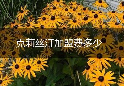 克莉丝汀加盟费多少