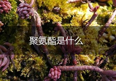 聚氨酯是什么