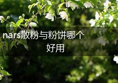 nars散粉与粉饼哪个好用