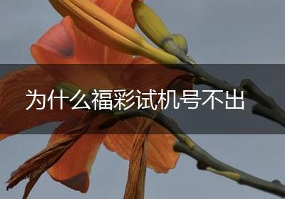为什么福彩试机号不出