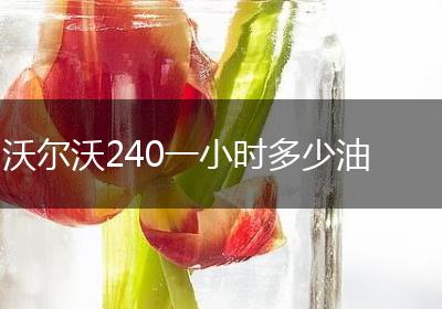 沃尔沃240一小时多少油