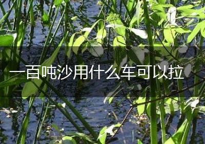 一百吨沙用什么车可以拉
