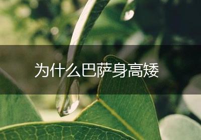 为什么巴萨身高矮