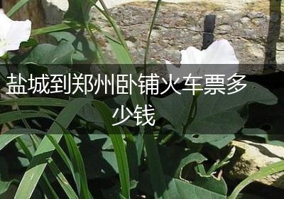 盐城到郑州卧铺火车票多少钱