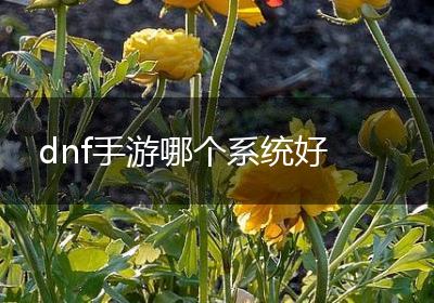 dnf手游哪个系统好