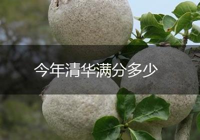 今年清华满分多少