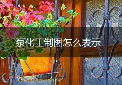 泵化工制图怎么表示