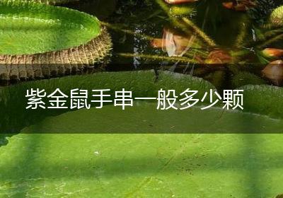 紫金鼠手串一般多少颗