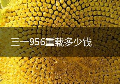 三一956重载多少钱