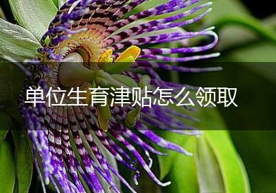 单位生育津贴怎么领取