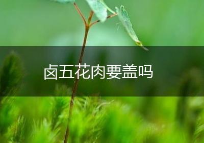 卤五花肉要盖吗