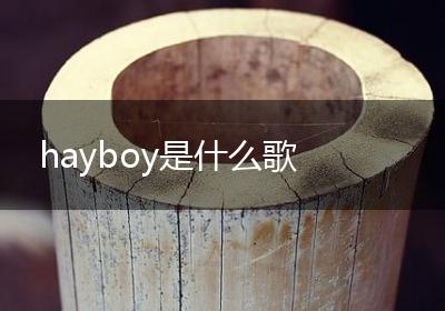 hayboy是什么歌