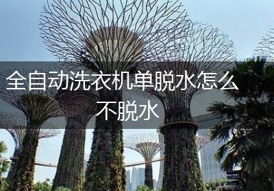全自动洗衣机单脱水怎么不脱水