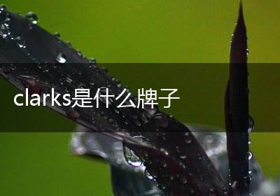 clarks是什么牌子