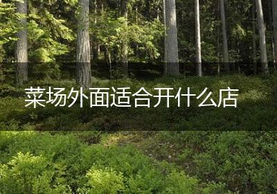 菜场外面适合开什么店