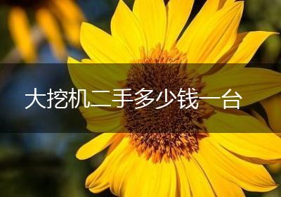 大挖机二手多少钱一台
