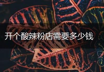 开个酸辣粉店需要多少钱