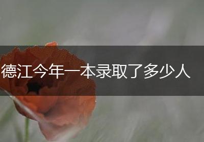 德江今年一本录取了多少人