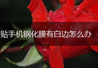 贴手机钢化膜有白边怎么办