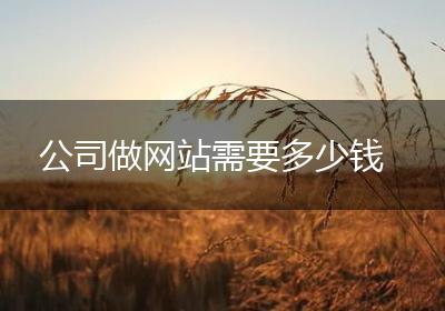 公司做网站需要多少钱