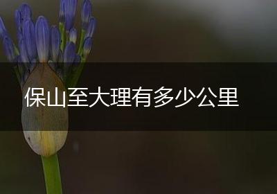 保山至大理有多少公里