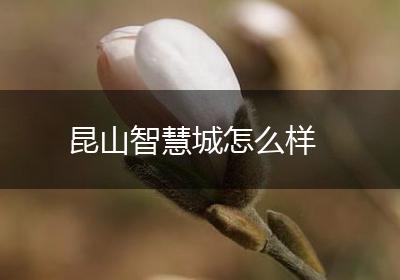 昆山智慧城怎么样