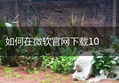 如何在微软官网下载10