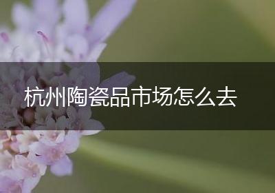 杭州陶瓷品市场怎么去