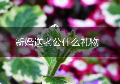 新婚送老公什么礼物