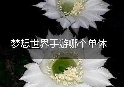 梦想世界手游哪个单体