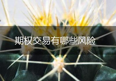 期权交易有哪些风险