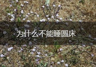 为什么不能睡圆床